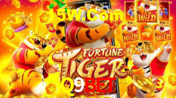 Premium Interface Q9Bet