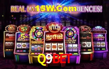 Sistemas de Segurança Q9Bet